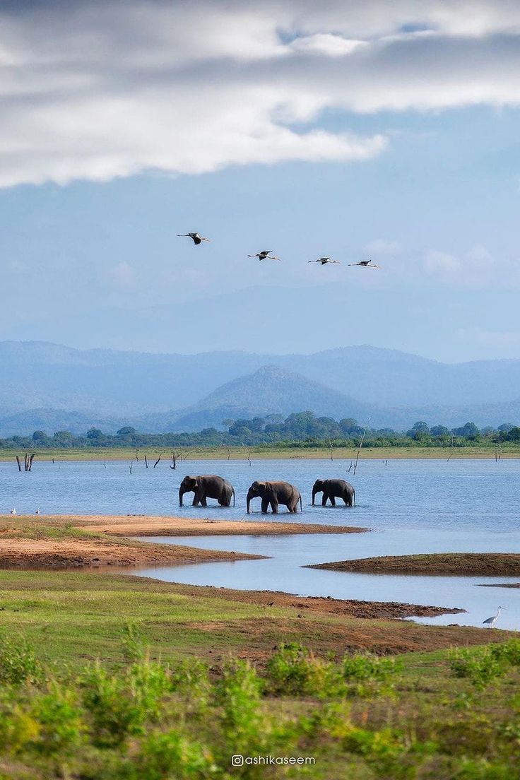 Udawalawa National Park
